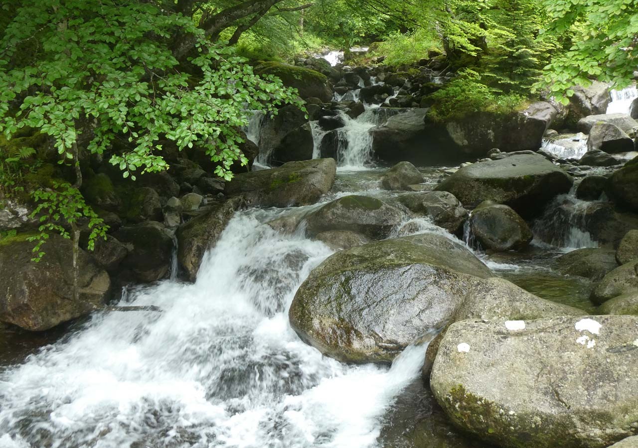 10 le cours d eau l ars