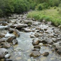 10 le torrent des cors