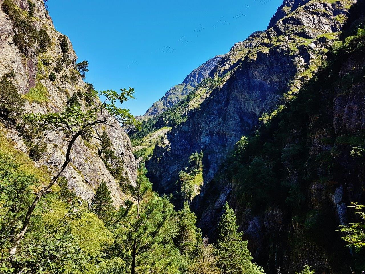 11 Vue sur les gorges de clarabide