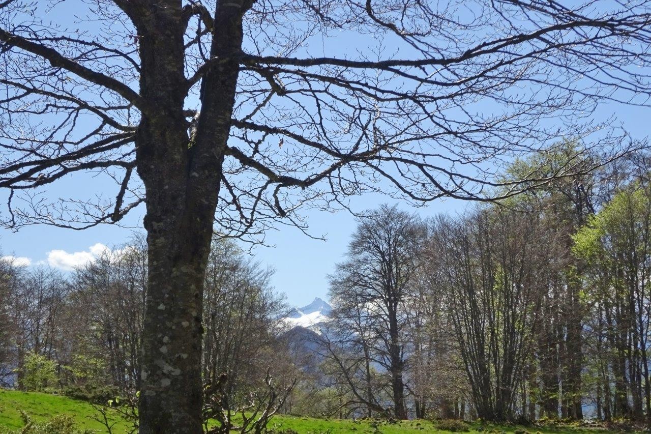 11 vue sur le valier