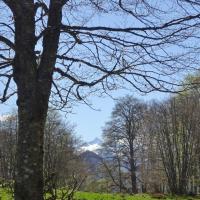 11 vue sur le valier
