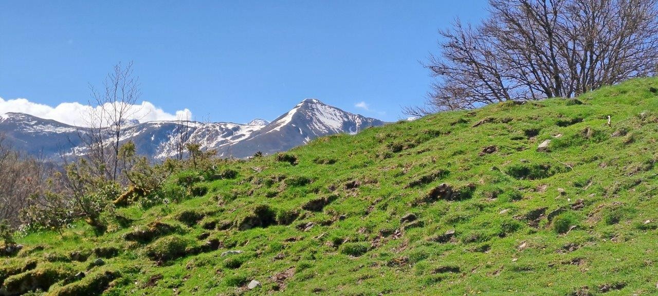 13 vue sur le cap de gauch