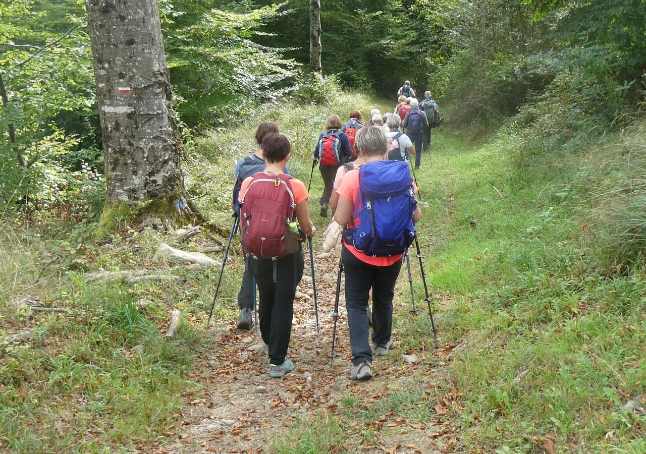 14 dans la foret domaniale de sauveterre de comminges