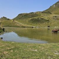 16 descente lac de flache de roumingau