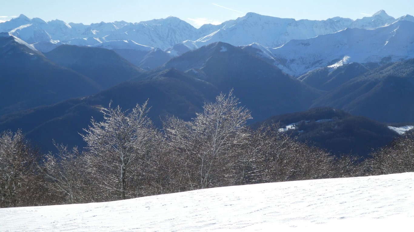 16a du valier au mauberme