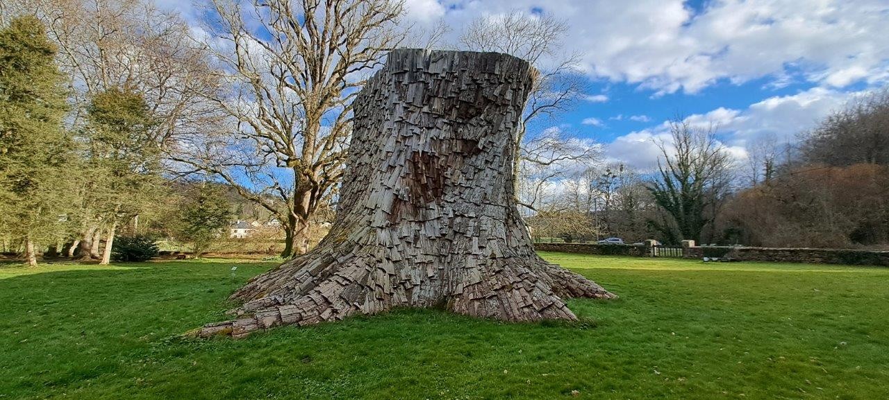 17 la souche land art 1 