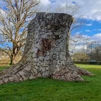 17 la souche land art 1 