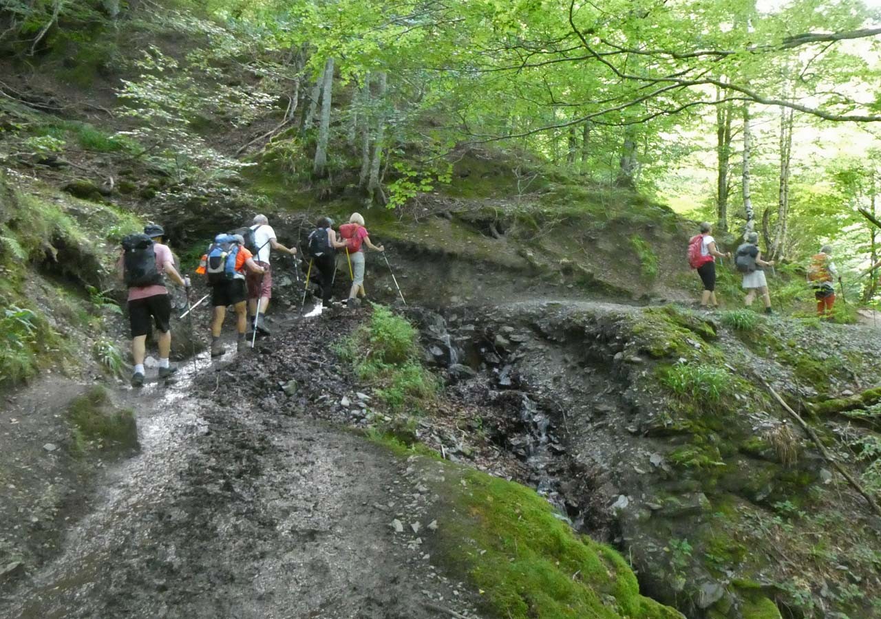 17 on remonte dans le bois des palaberes