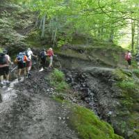 17 on remonte dans le bois des palaberes