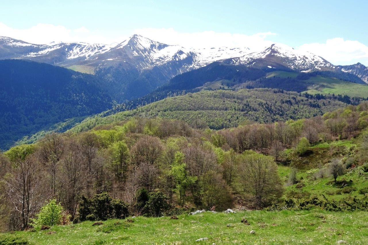 17 vue sur cap de gauch et calabasse