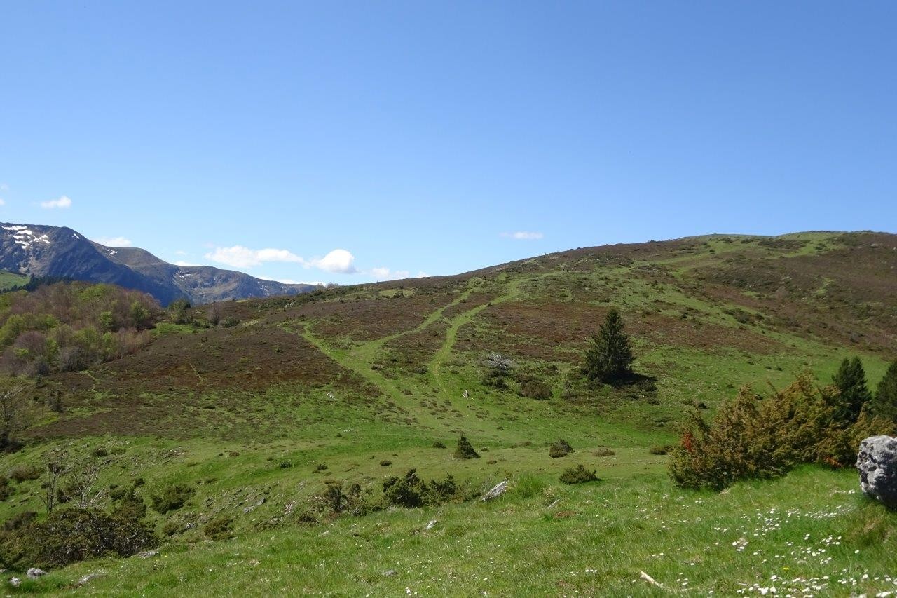 19 sente montee au puech