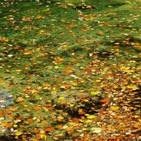 19 tableau d automne