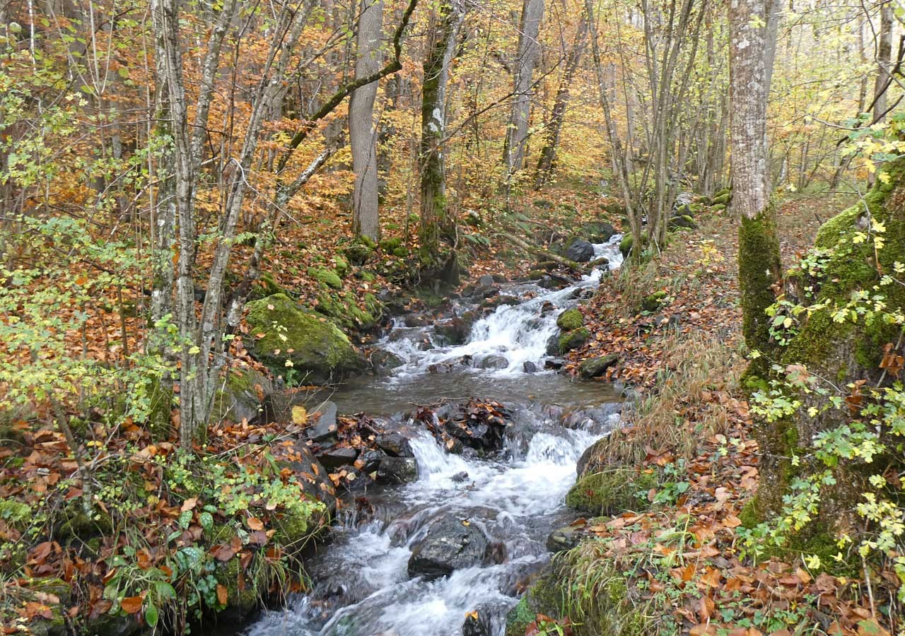 19 un cours d eau qui coule bien