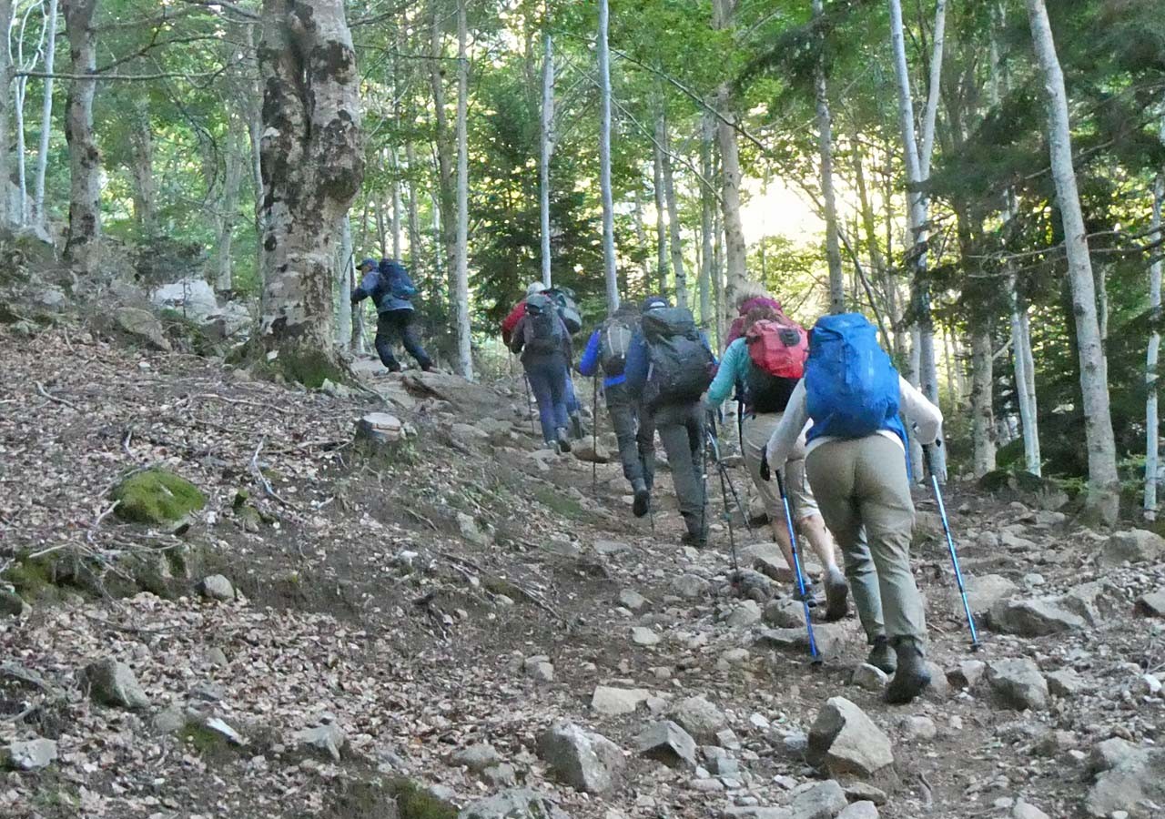 2 debut de la randonnee dans la foret