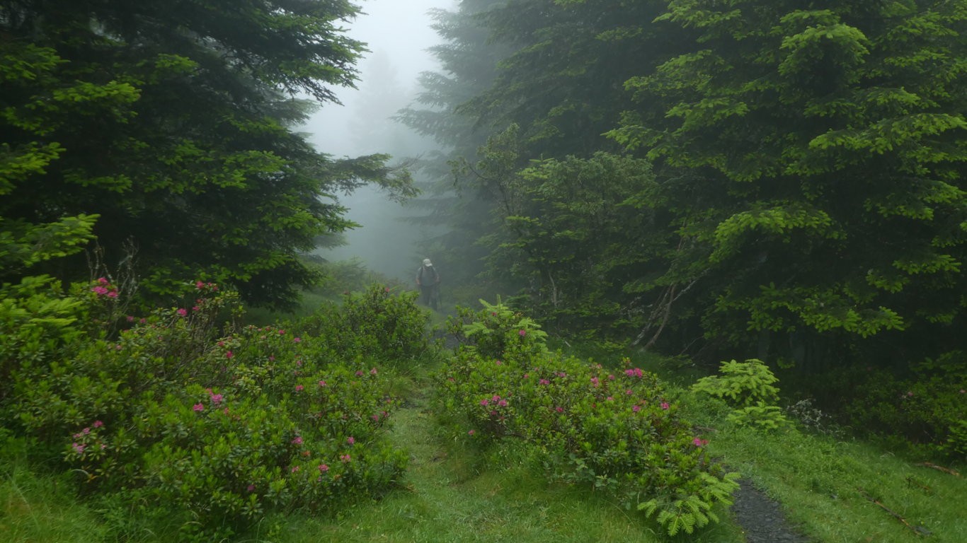 2 montee dans la brume