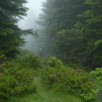 2 montee dans la brume