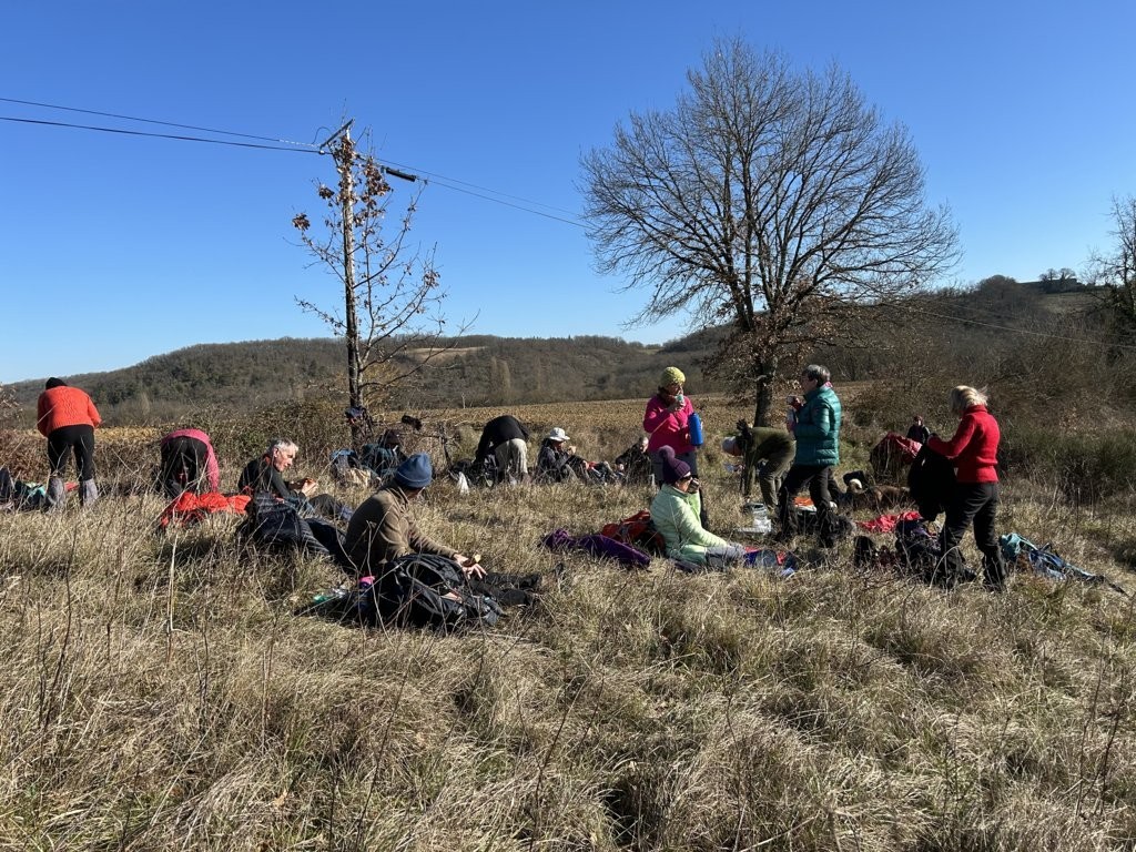 20 dejeuner dans l herbe 