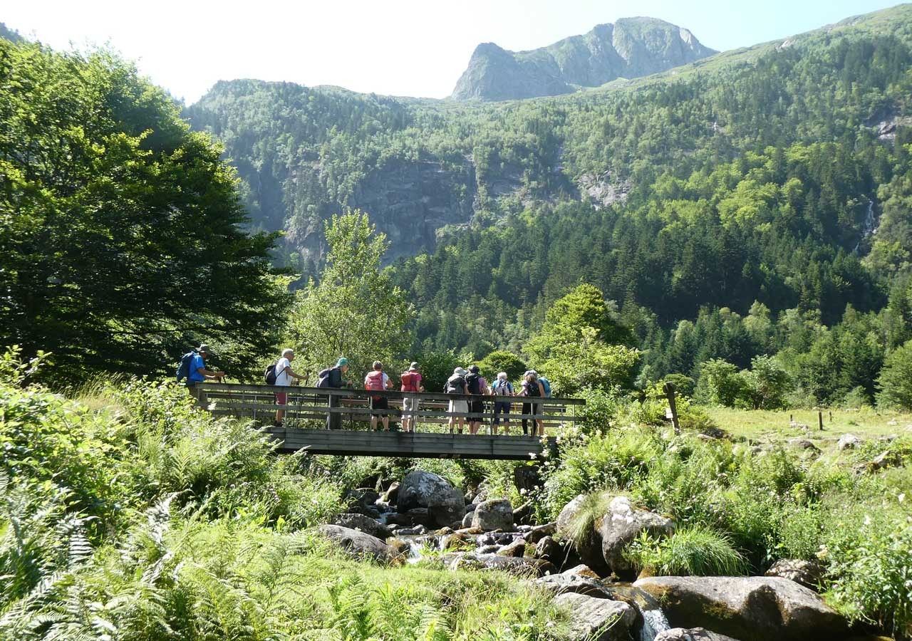 20 depuis une passerelle vue sur le campet