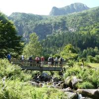 20 depuis une passerelle vue sur le campet