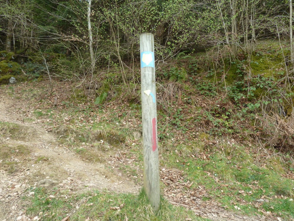 21 1