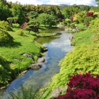 21 jardin japonais