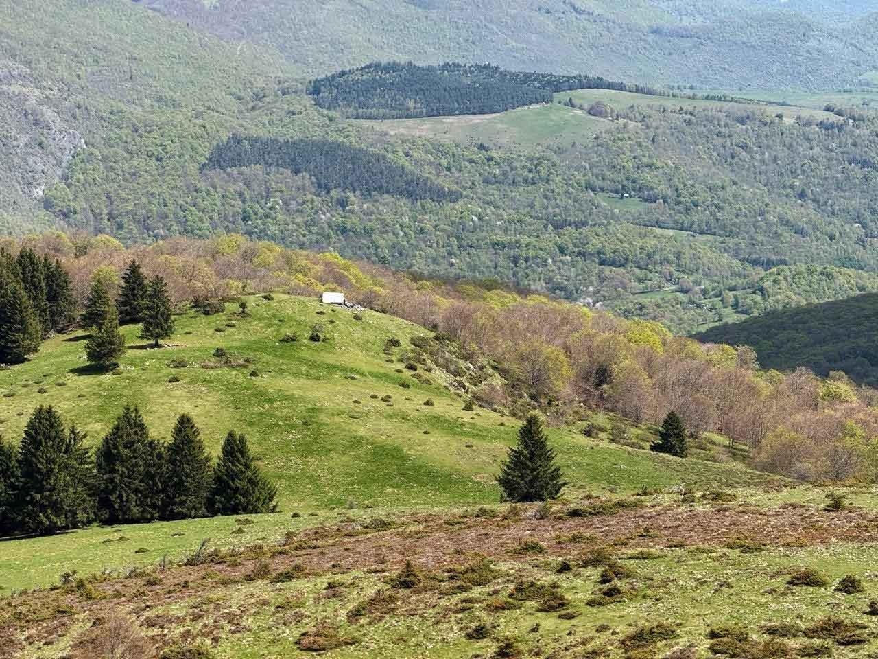 21 cab en bas du puech