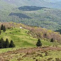 21 cab en bas du puech