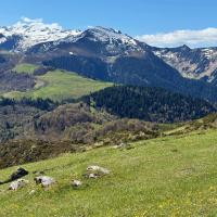 22 zoom sur le cap de gauch