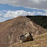 24 bloc erratique charrie par l ancien glacier