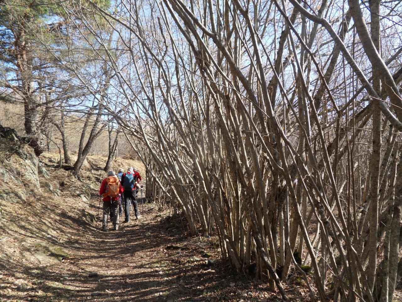 24 nous montons a l eglise de sant miqueu de vielha