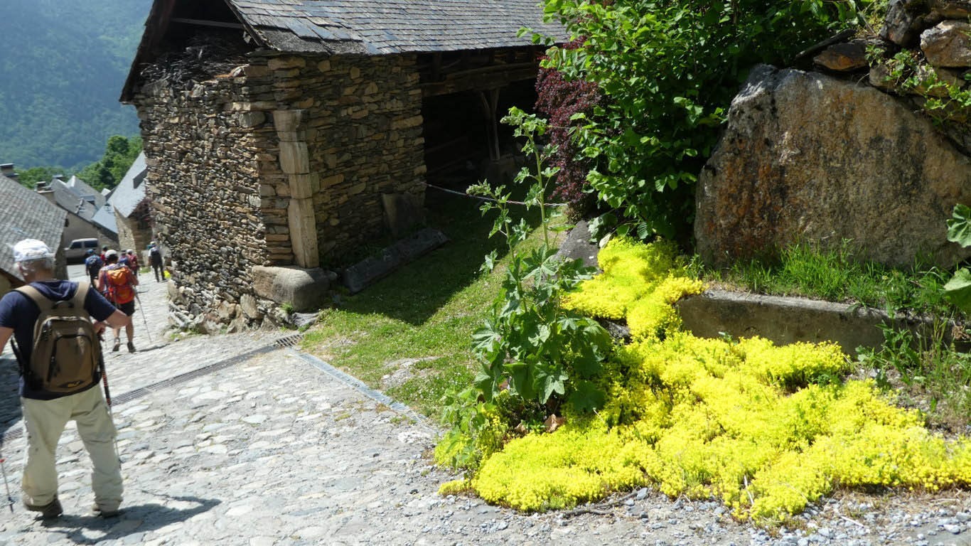 25 ruelle pavee et fleurie