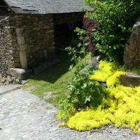 25 ruelle pavee et fleurie