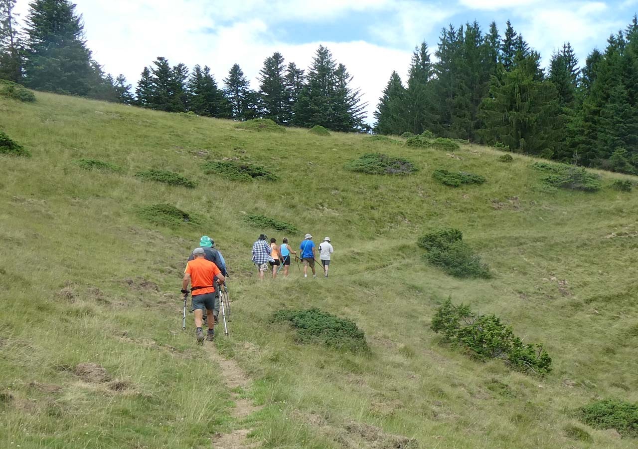 26 quelques uns vont a la cabane du piejau