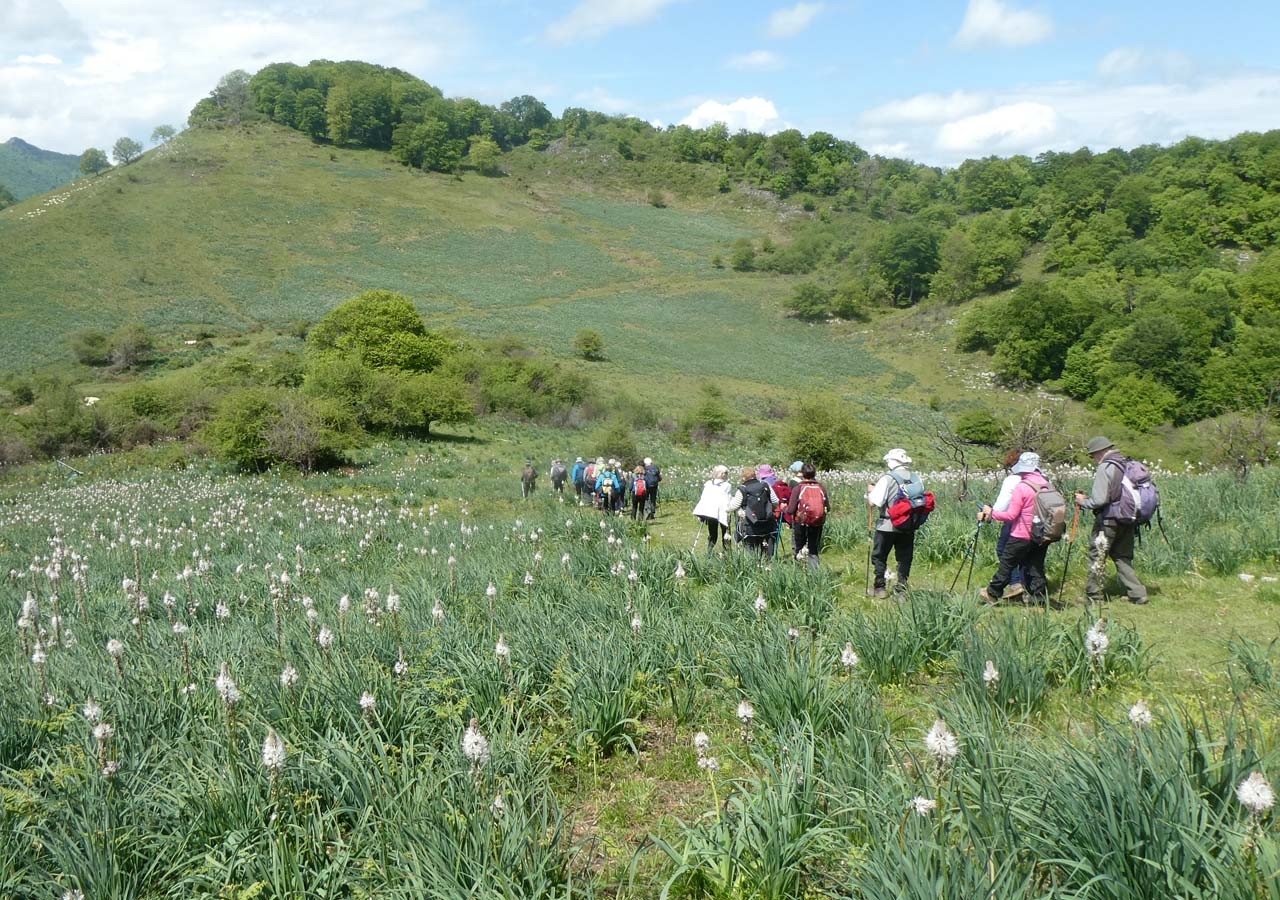 28 descente