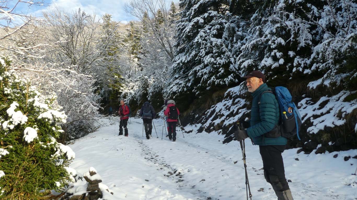 3 carrefour du sentier avec troncon de piste