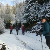 3 carrefour du sentier avec troncon de piste