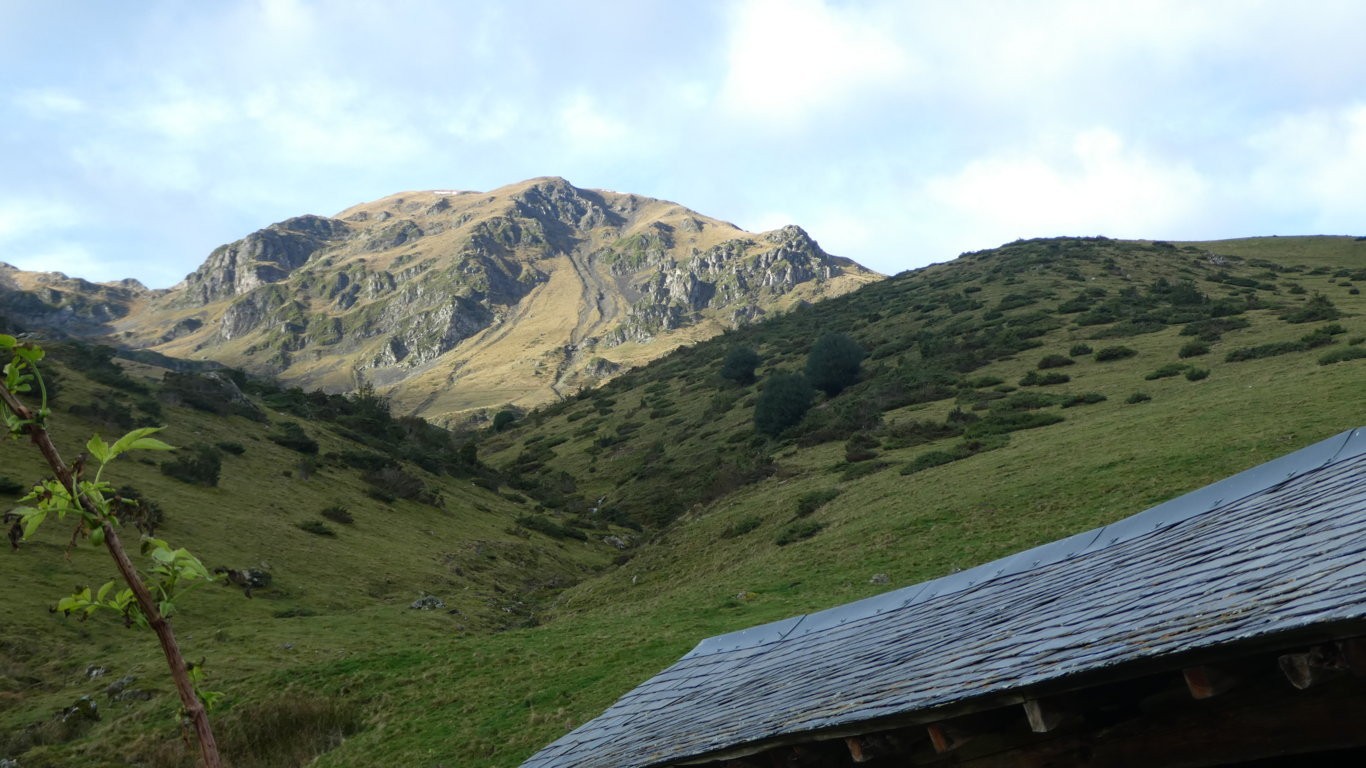 3 soum de coste oueillere au soleil