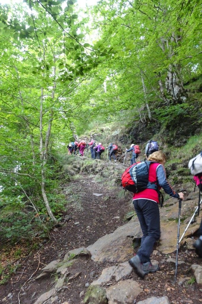 3 sur le chemin des chevres