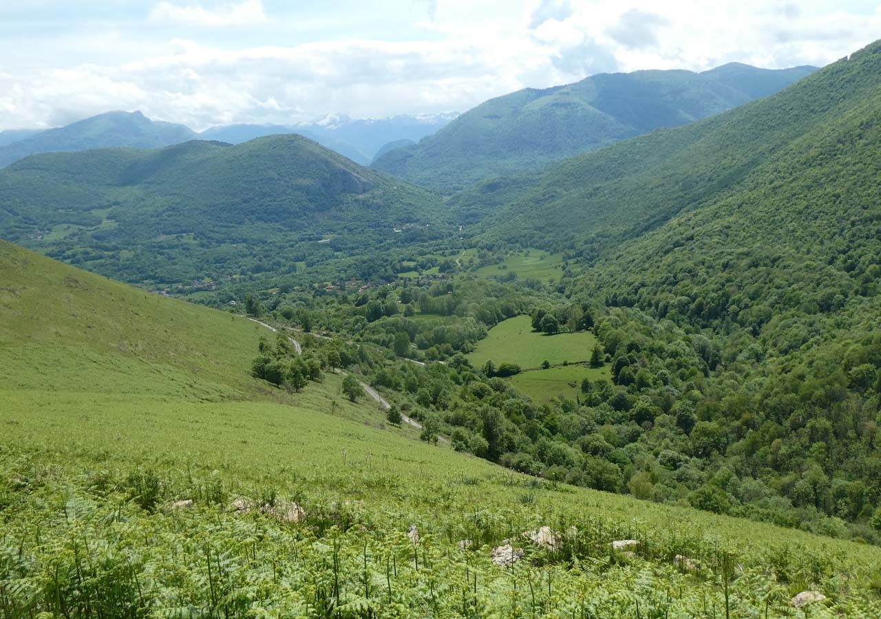 35 autre vue de la vallee de la barousse