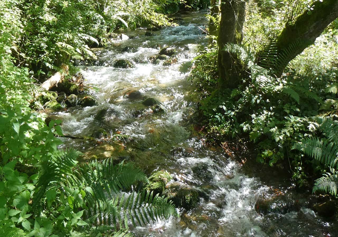 36 au bord du torrent de balamet