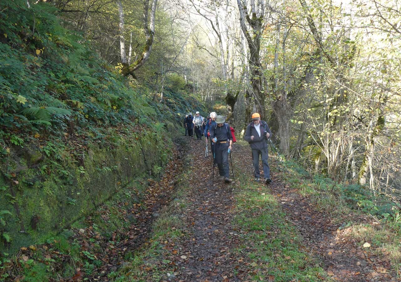 4 dans le bois de lapade