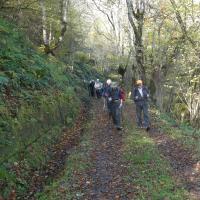 4 dans le bois de lapade