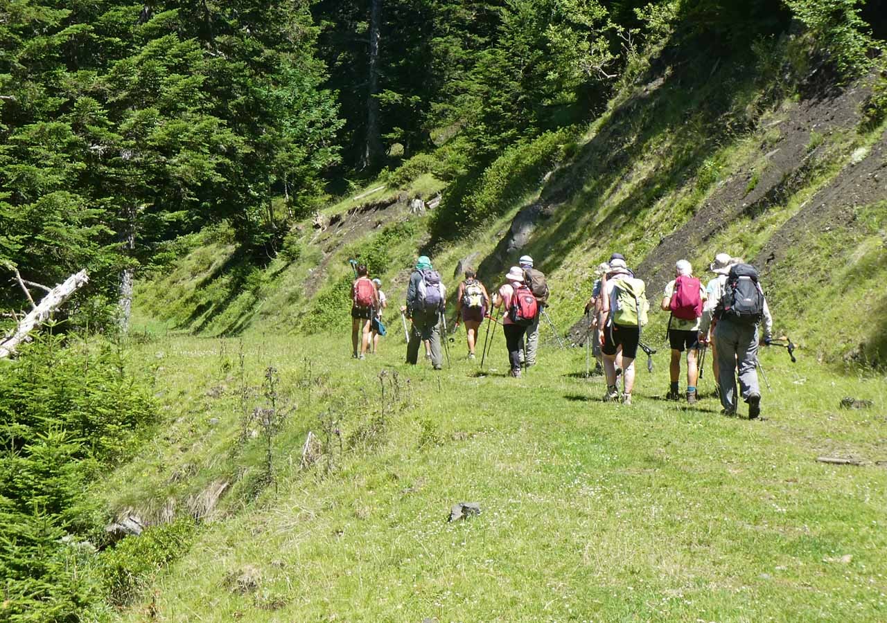 41 de retour dans la foret de sarranconlin