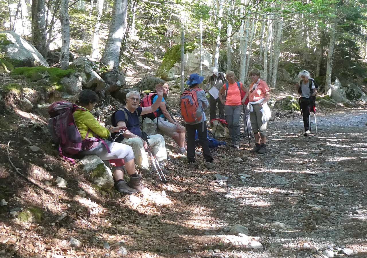 41 petite pause lors de la descente dans la foret