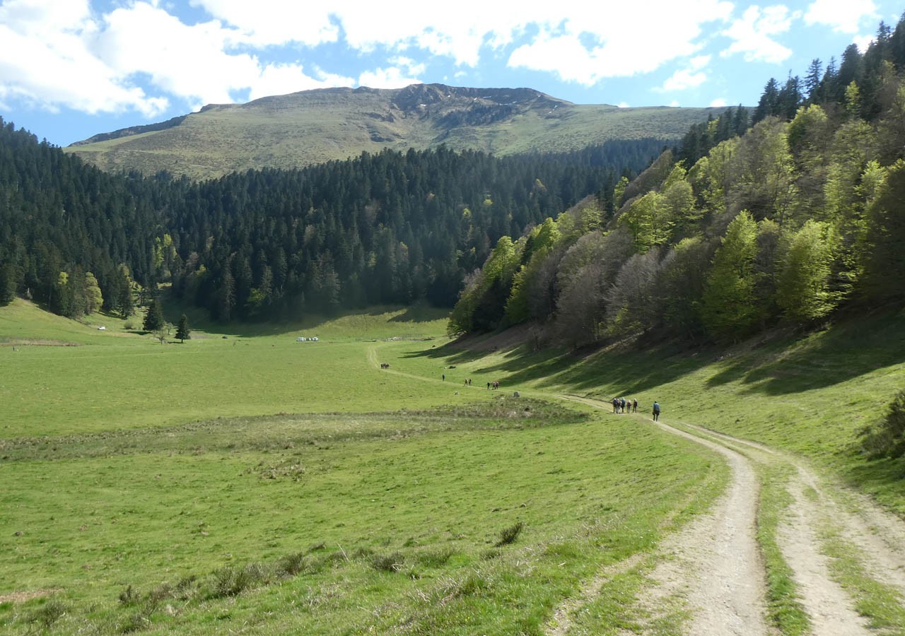 48 de retour aux paturages de payolle