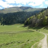 48 de retour aux paturages de payolle
