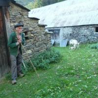 5a le berger en 2017