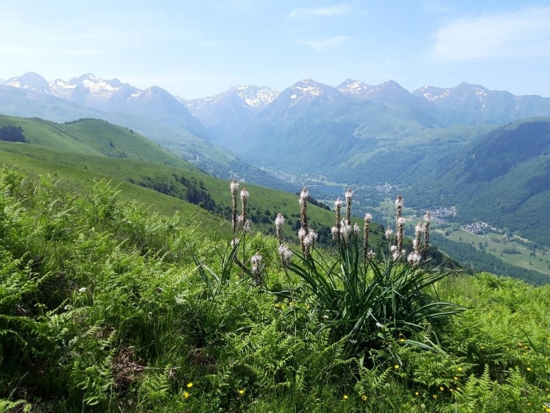 6 la vallee du louron