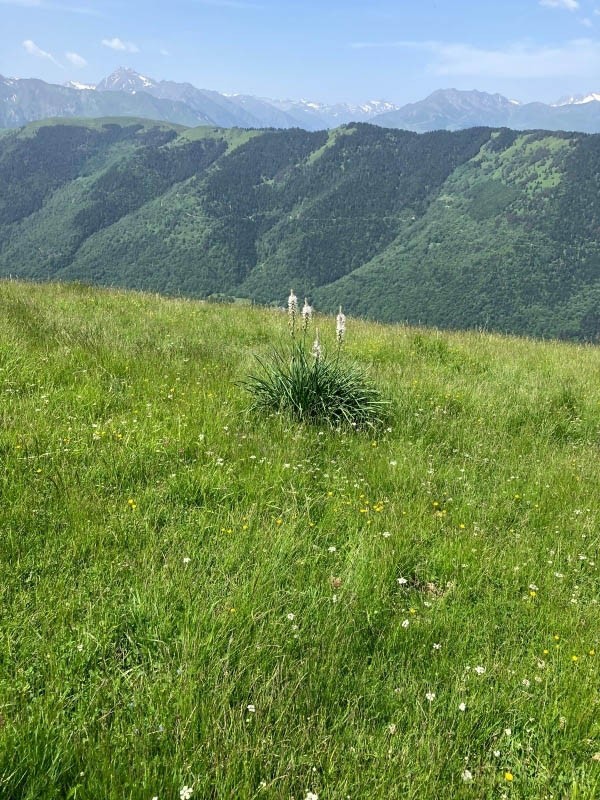 6a 3