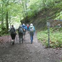 7 on entre dans la foret communale d aulus les bains